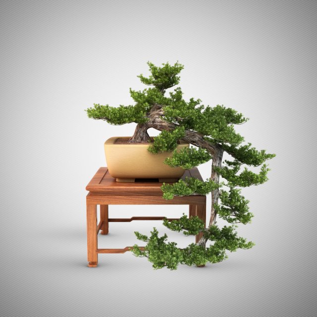 bonsaitrees Modelo 3D .c4d .max .obj .3ds .fbx .stl .blend 
