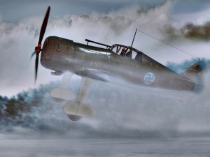 fokker d 21 3D Model