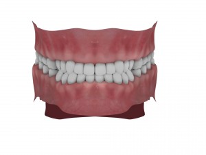 teeth and tongue rigged-arnold render Model 3D