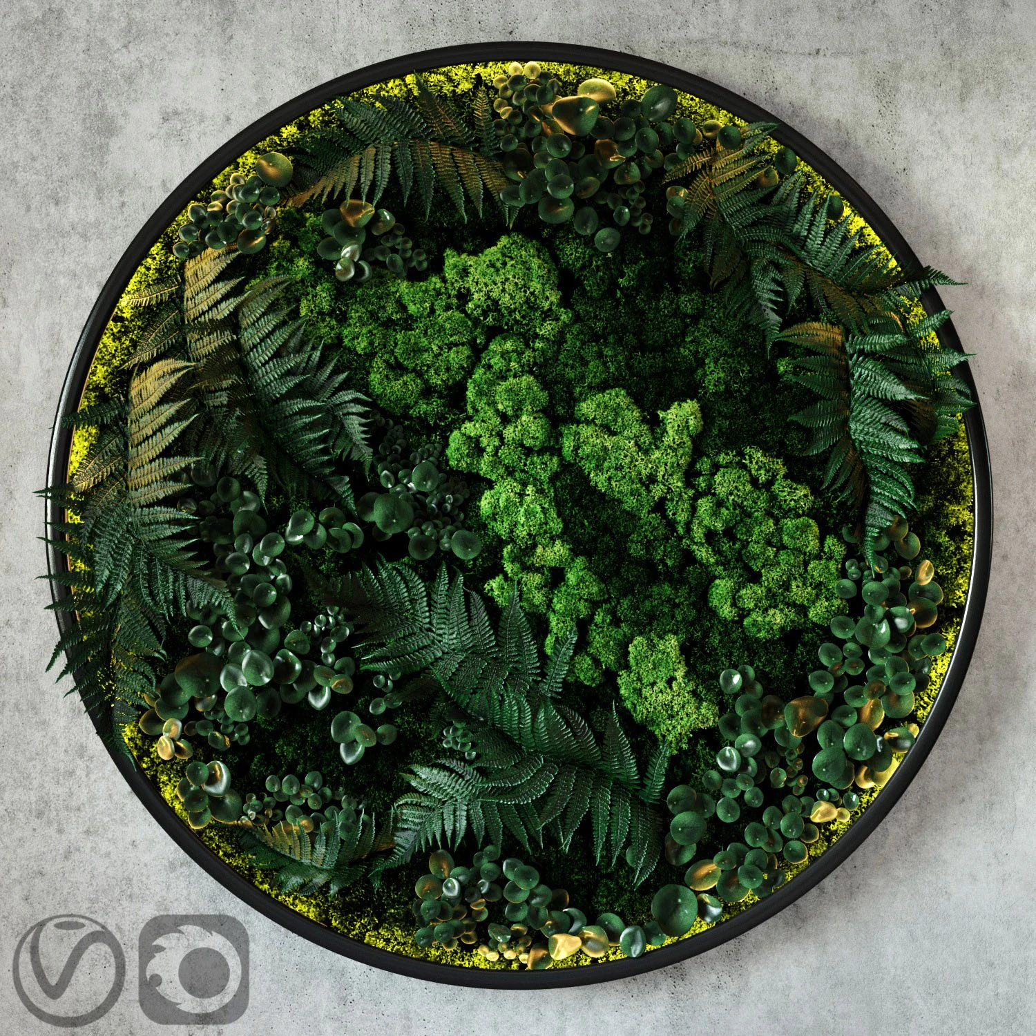 fytodisk moss 3D Model .c4d .max .obj .3ds .fbx .stl .blend 