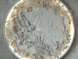 fytodisk moss 3D Model