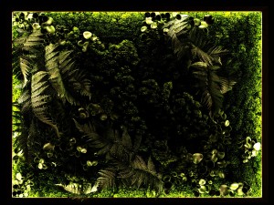 fytowall 3Dモデル