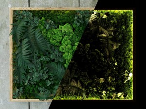 fytowall 3Dモデル