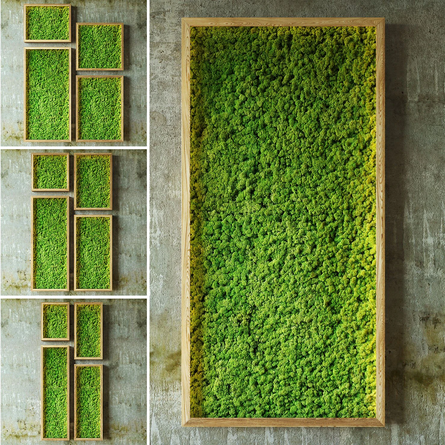 mosswalls 3D Model .c4d .max .obj .3ds .fbx .stl .blend
