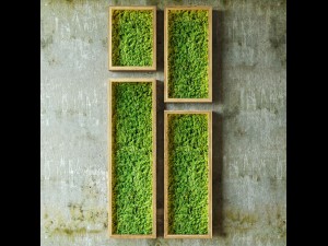 mosswalls 3D Model