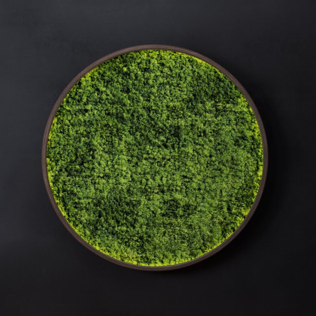 mosswall disk 3D 모델 .c4d .max .obj .3ds .fbx .stl .blend 
