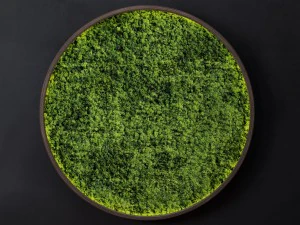 Mosswall-Scheibe 3D Modell