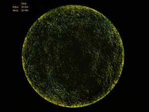 mosswall disk 3D 모델