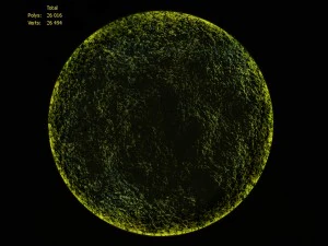 mosswall disk 3D Model