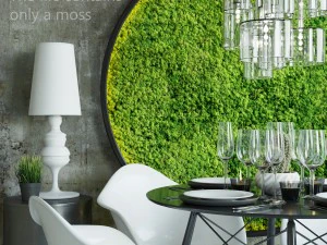 mosswall disk 3D Model