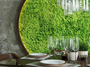 mosswall disk 3D Model