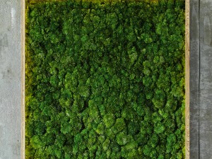 moss modules 3D Model