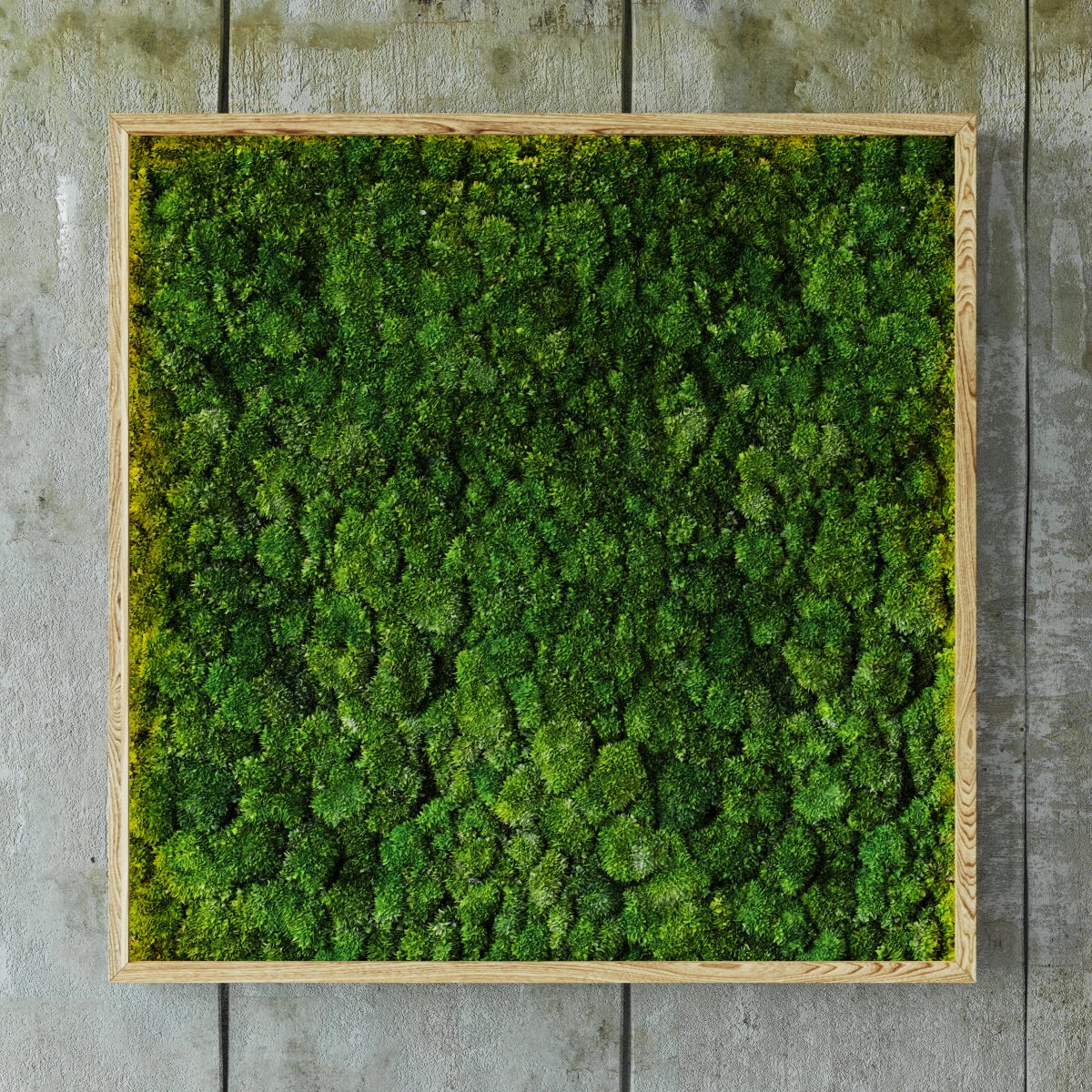 Мох для макета. (цв: зеленый ). Мох в якутии. Газон для диорамы. Мод мох.