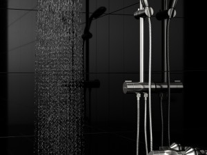 grohe new tempesta Model 3D