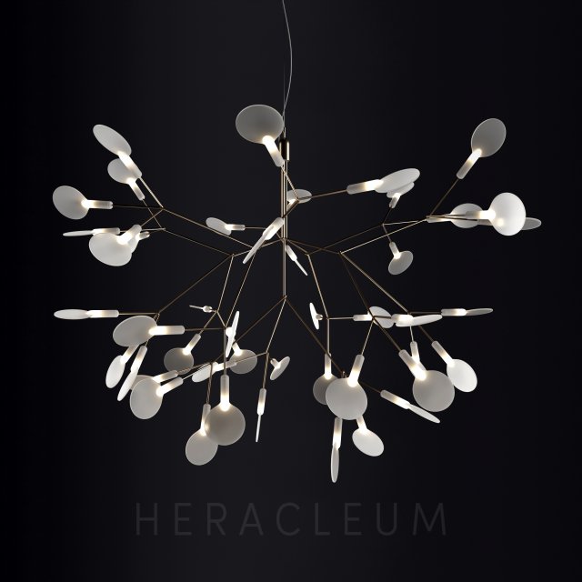chandelier moooi heracleum ii small 3D मॉडल .c4d .max .obj .3ds .fbx .stl .blend 