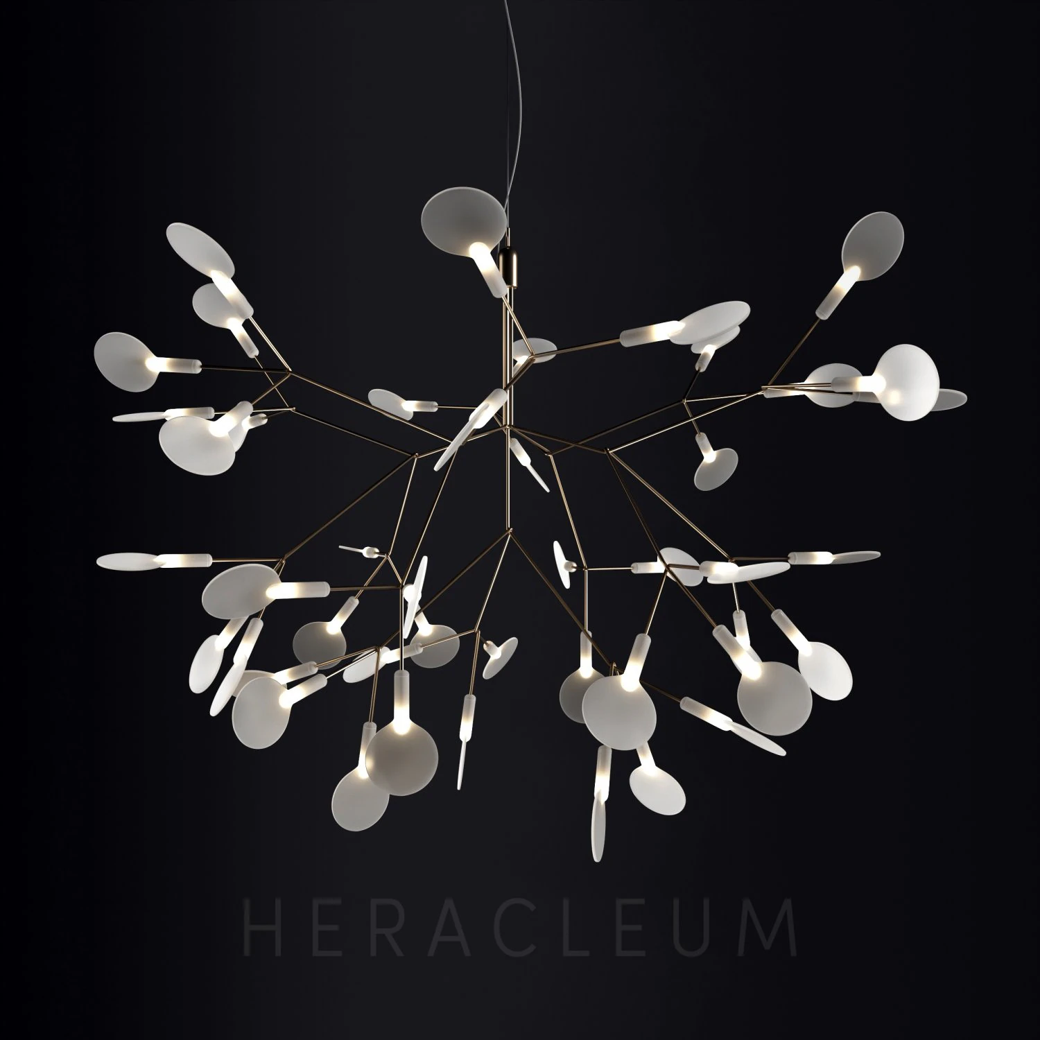 chandelier moooi heracleum ii small 3D Model .c4d .max .obj .3ds .fbx .stl .blend 