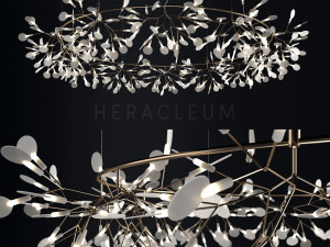 chandelier moooi heracleum the big o Model 3D