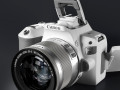 Canon EOS 200D 3D Model