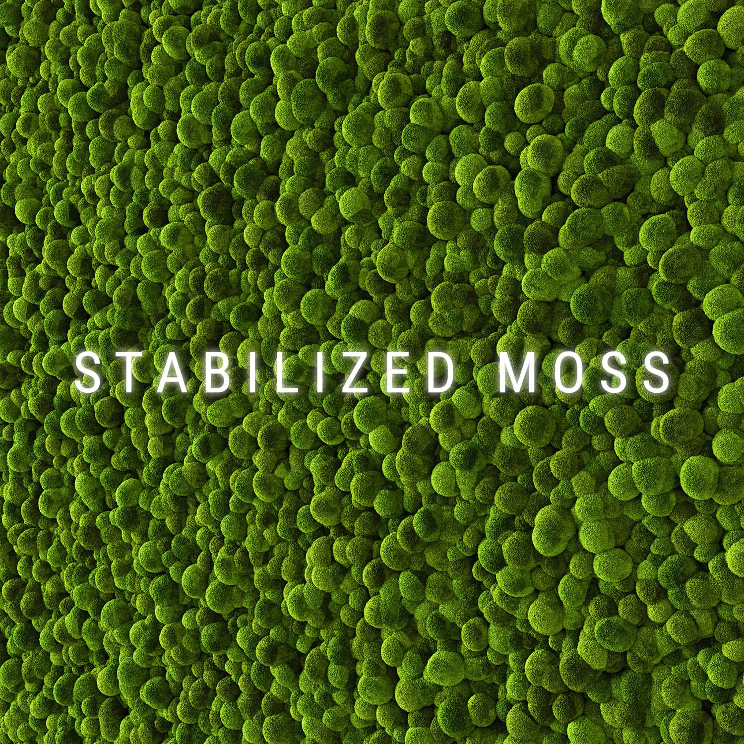 stabilized moss 2 3D Model .c4d .max .obj .3ds .fbx .stl .blend 