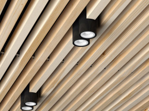 wooden ceiling 3D Model