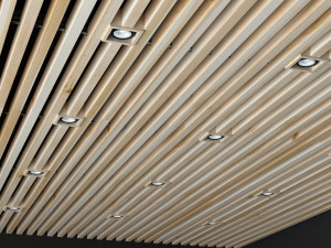 wooden ceiling 2 3D Model