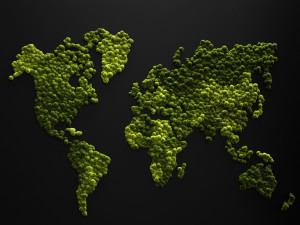 stabilized moss - world map 3D Model