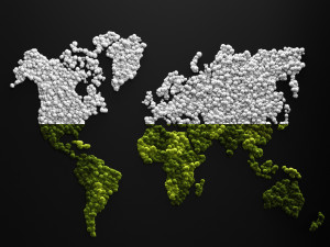 stabilized moss - world map 3D Модель