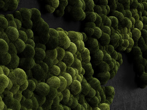 stabilized moss - world map 3D Модель