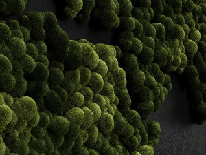 musgo estabilizado - mapa mundial Modelo 3D