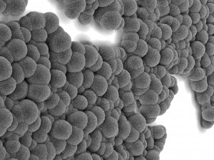 musgo estabilizado - mapa mundial Modelo 3D