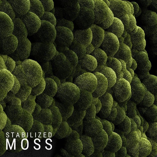 stabilized moss 3 3D 模型 .c4d .max .obj .3ds .fbx .stl .blend 