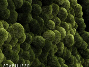 stabilizowany mech 3 Model 3D