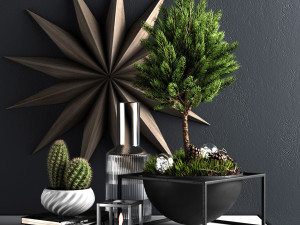 decor set with pine tree 3D Model