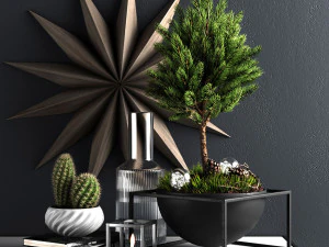 decor set with pine tree 3D Model