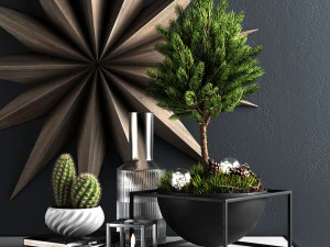 decor set with pine tree 3D Model