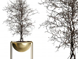 विदेशी पौधे विदेशी पॉट फूलदान पेड़ पौधे सोना मचान डिजाइन प्रकृति लकड़ी वनस्पति शीतकालीन लॉबी विकास वनस्पति 3D मॉडल