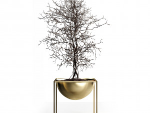 exoticplants exotic pot vase tree plant gold loft design nature wood flora winter lobby growth botan Modèle 3D