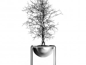 exoticplants exotic pot vase tree plant gold loft design nature wood flora winter lobby growth botan Modèle 3D
