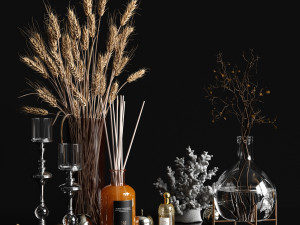 decorative set with dry plants Modelo 3D