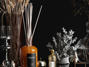 decorative set with dry plants 3Dモデル