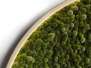 mosswall disk 2 3D 模型