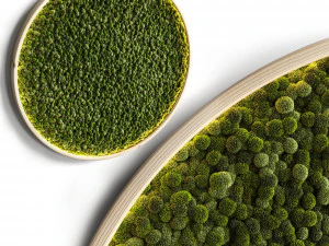 モスウォール ディスク 2 3Dモデル