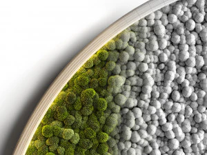 mosswall disk 2 3D Model