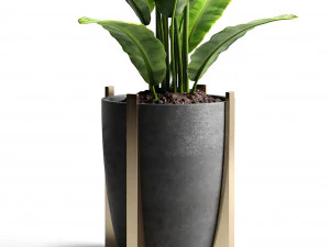 banana tree 2 3D Model