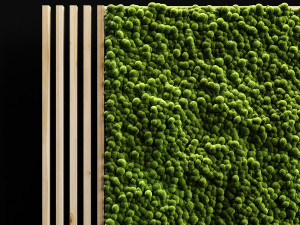 vertical garden and planks 3D Модель