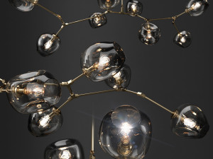 branching bubble and branching burst Model 3D