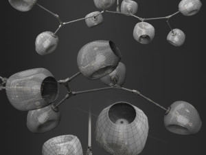 branching bubble and branching burst Model 3D