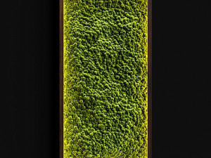 mosswalls 2 3D Модель