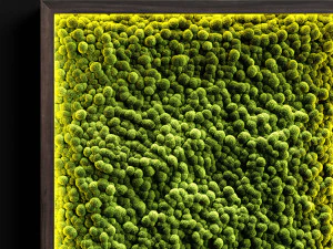 mosswalls 2 3D Model
