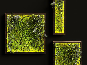 vertical garden moss modules 3 3D Model